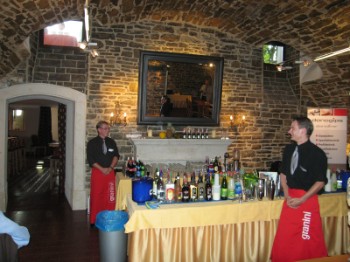 Einführung in die Welt der Cocktails Einführung in die Welt der Cocktails